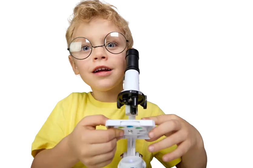 Programs at bigbrain box