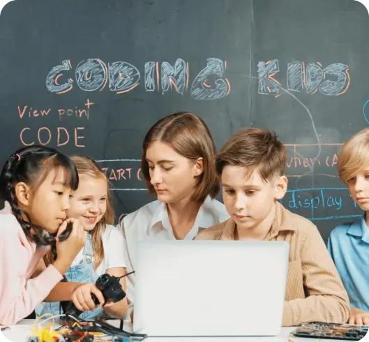 Programs at bigbrain box