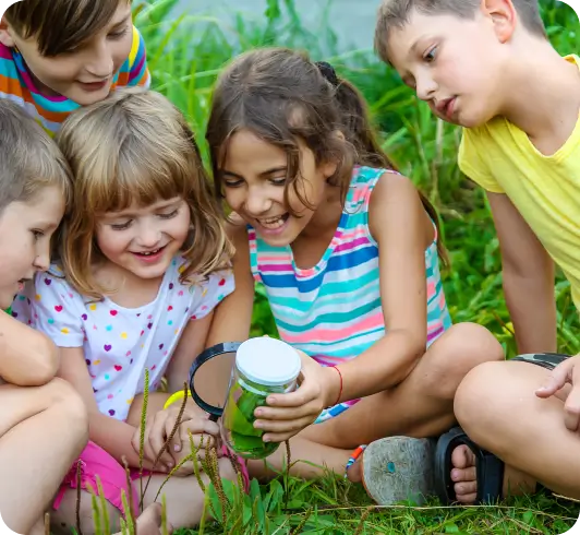 Programs at bigbrain box