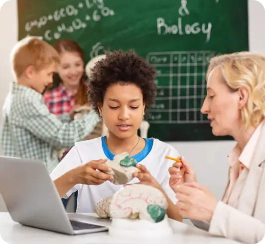 Programs at bigbrain box