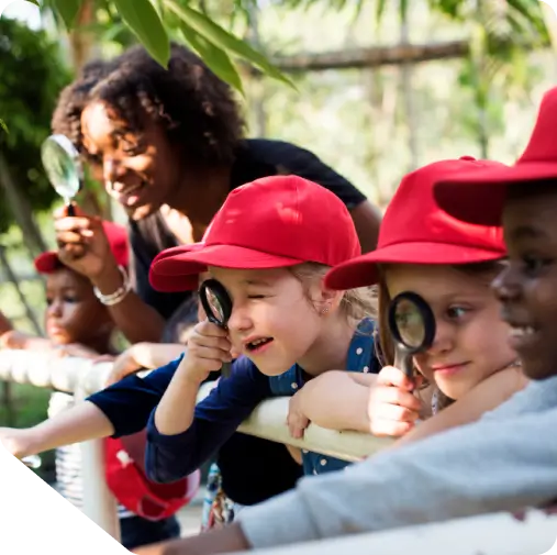 stem at bigbrain box