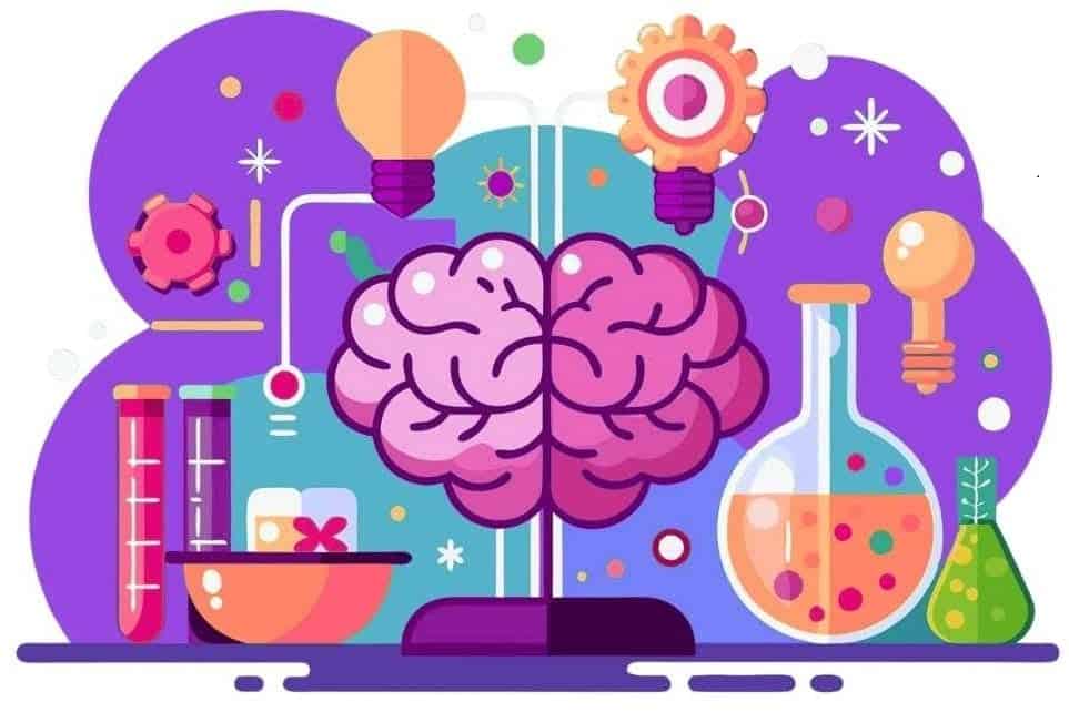 ce155330 0efc 4ca2 ad50 4268b6550b69